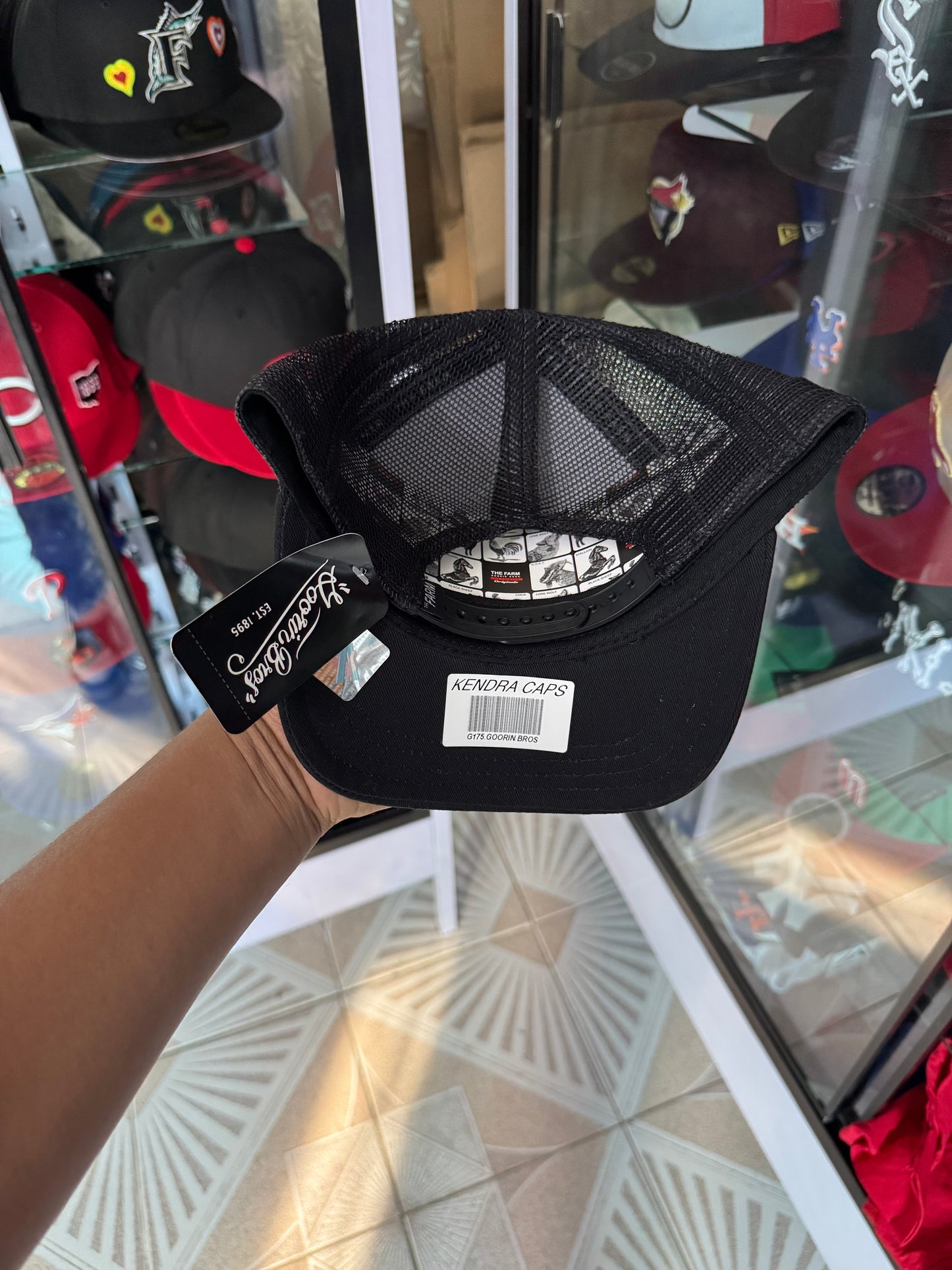 🚨OFERTA CURVA 🔥600$🔥