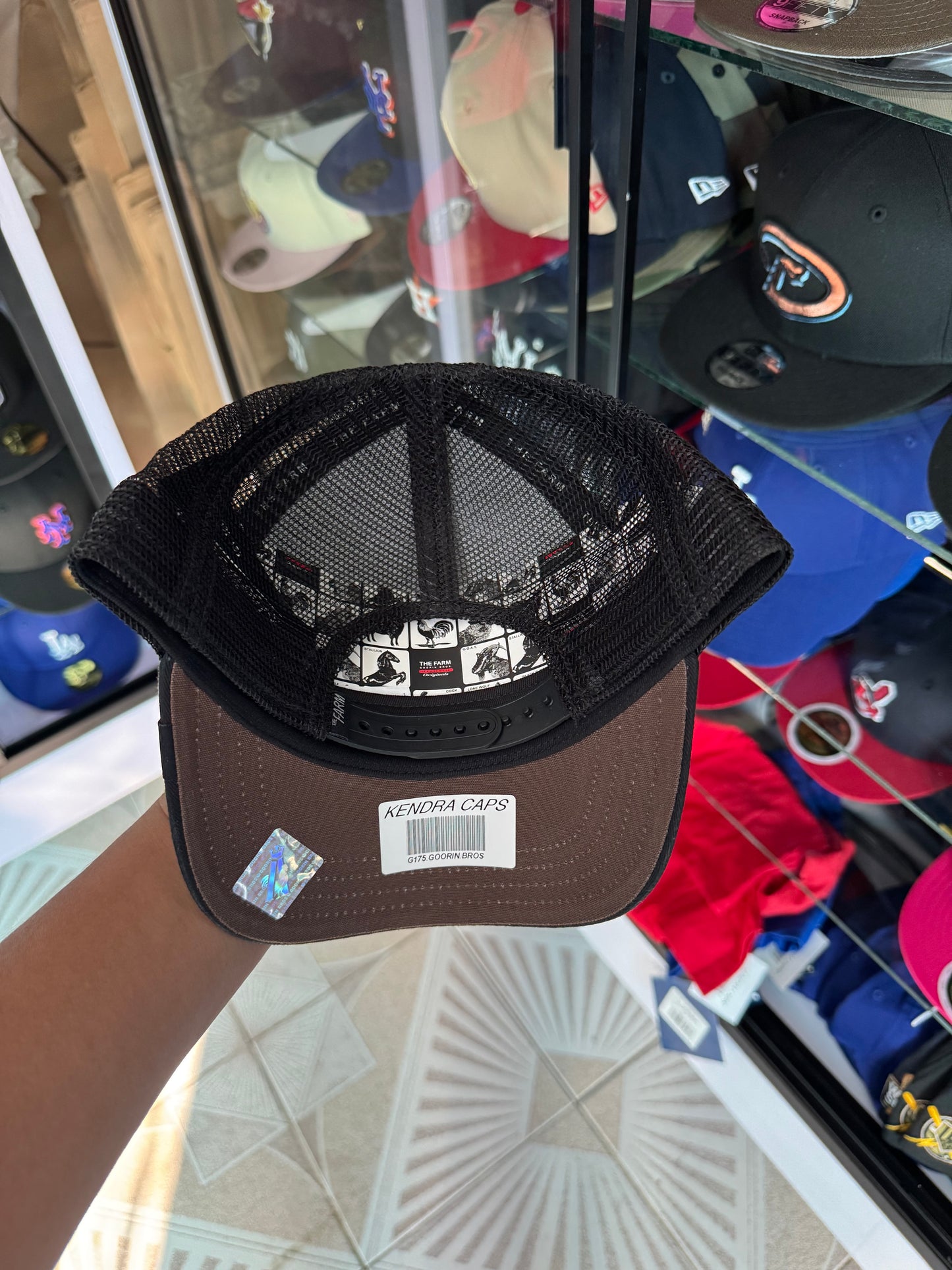 🚨OFERTA CURVA 🔥600$🔥