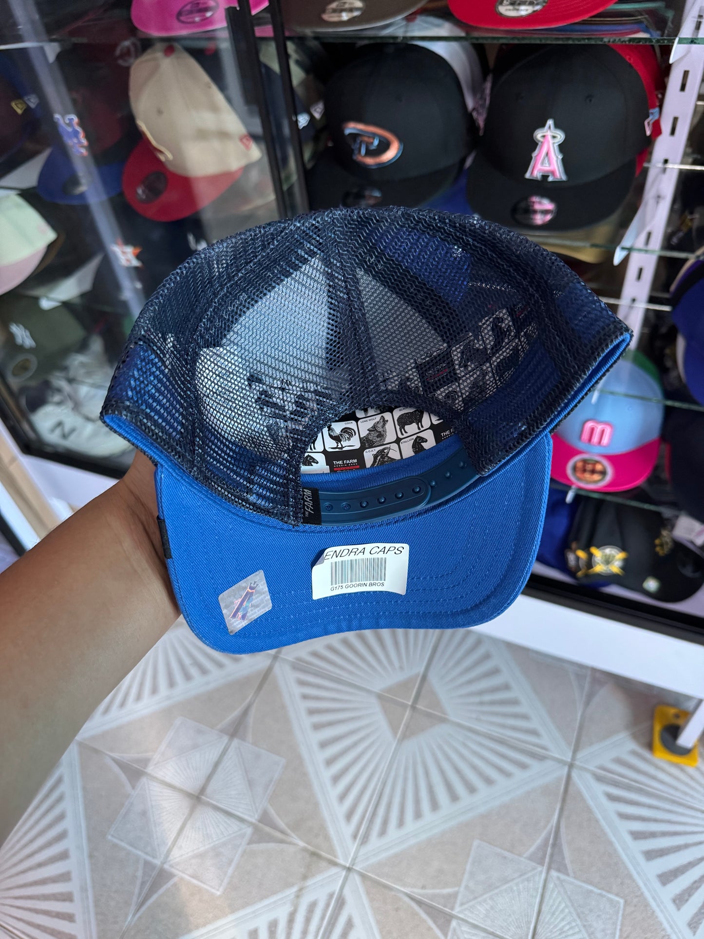🚨OFERTA curva 🔥600$🔥