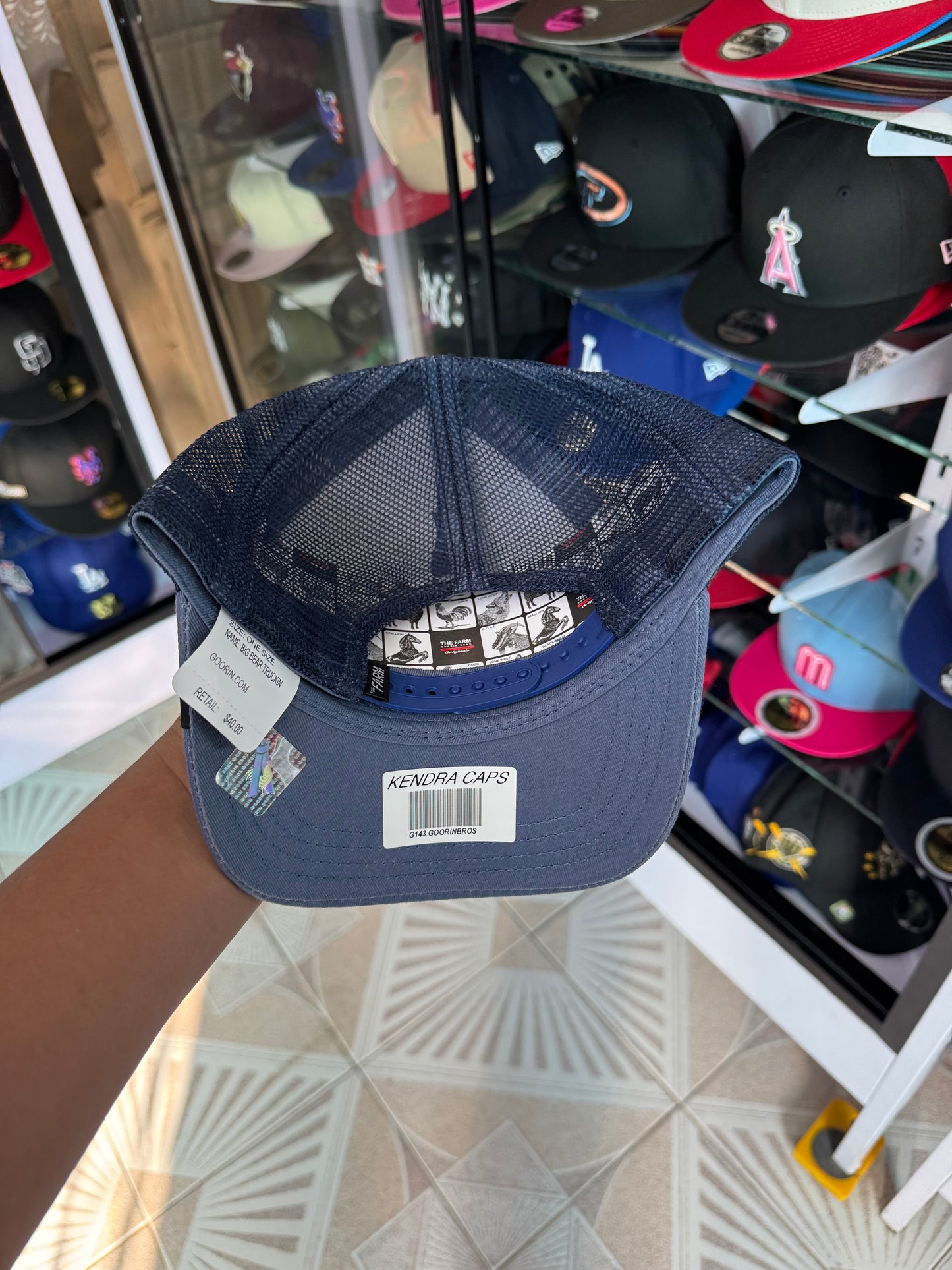 🚨OFERTA CURVA 🔥550$🔥