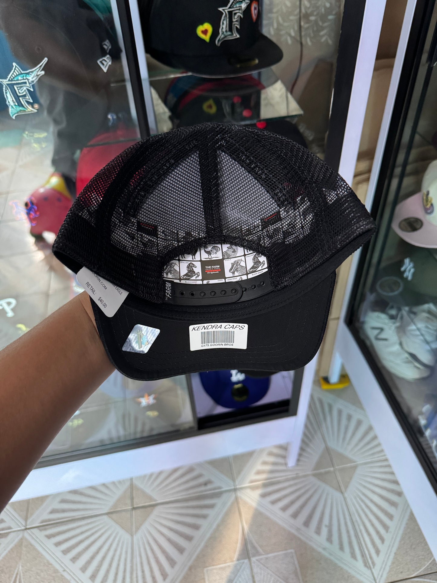 🚨OFERTA CURVA 🔥600$🔥