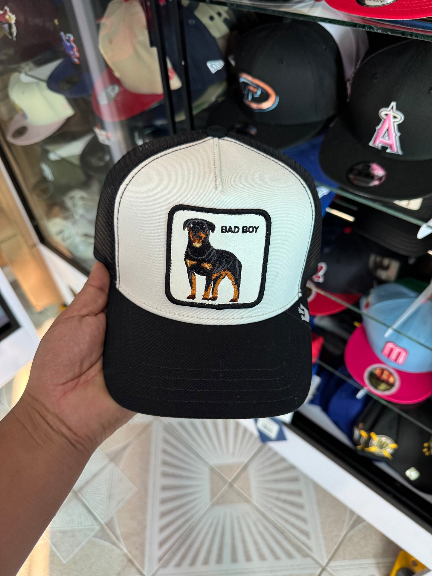🚨OFERTA CURVA 🔥600$🔥