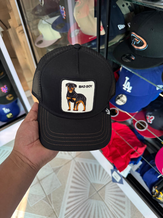 🚨OFERTA CURVA 🔥600$🔥