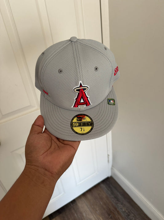 Anaheim 7 y 7 1/8 (mayoreo 800$)