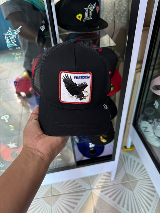 🚨OFERTA CURVA 🔥600$🔥