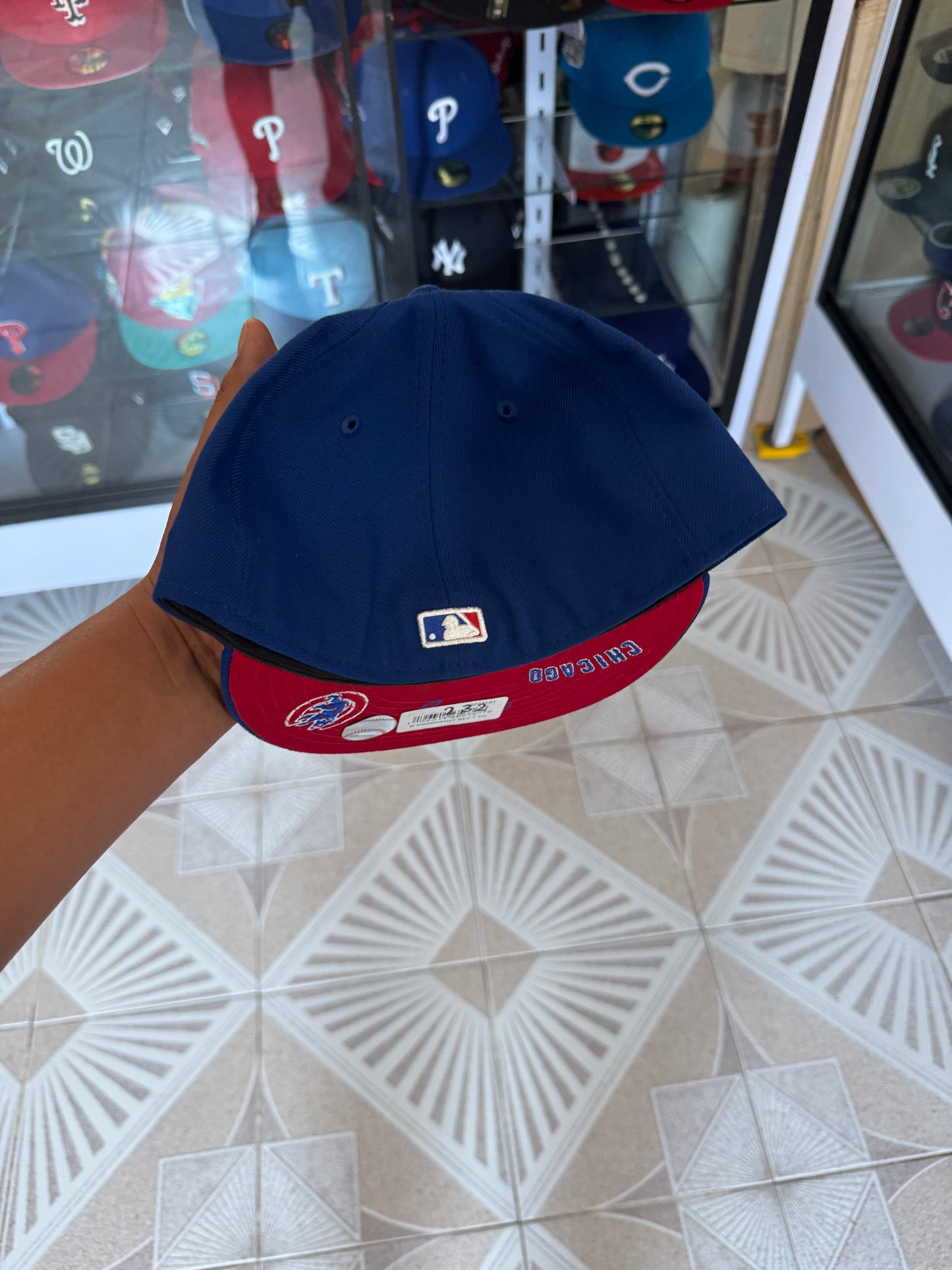 Oferta cachorros 7 1/2 🔥600$🔥