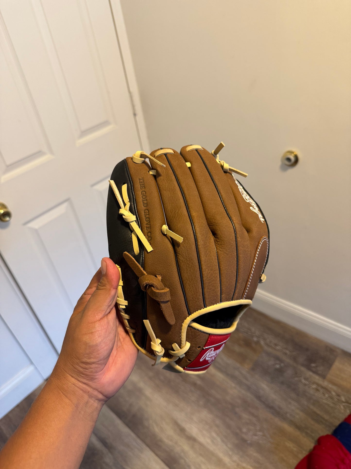 Guante 12” 🔥1850$🔥