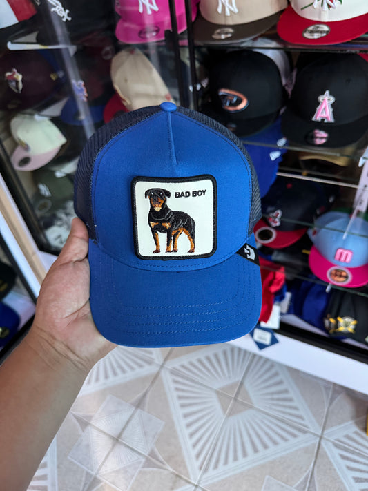 🚨OFERTA curva 🔥600$🔥