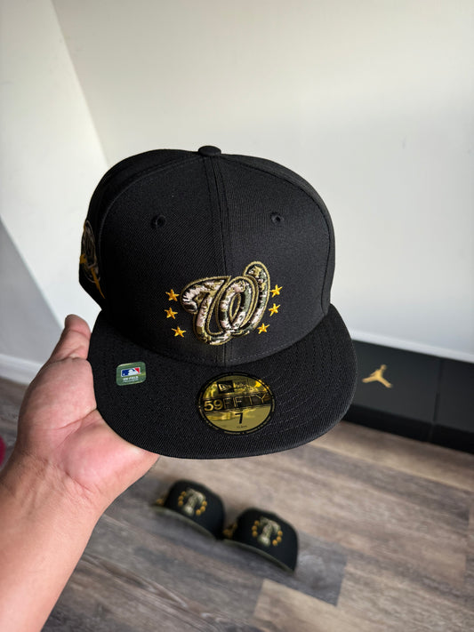 Washington (MAYOREO 750$)