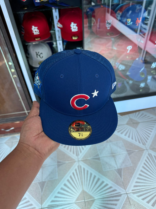 🚨cachorros OFERTA 7 3/8 🔥550$🔥