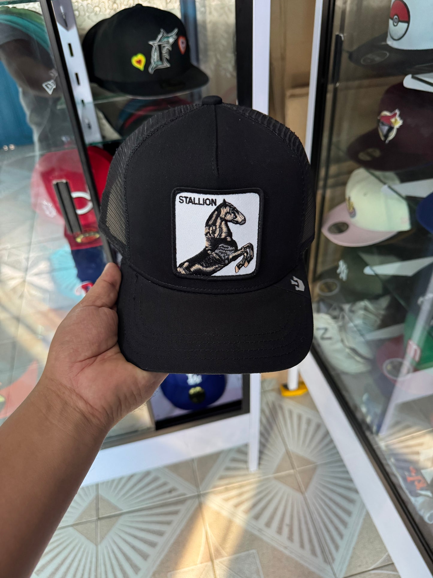 🚨OFERTA CURVA 🔥600$🔥