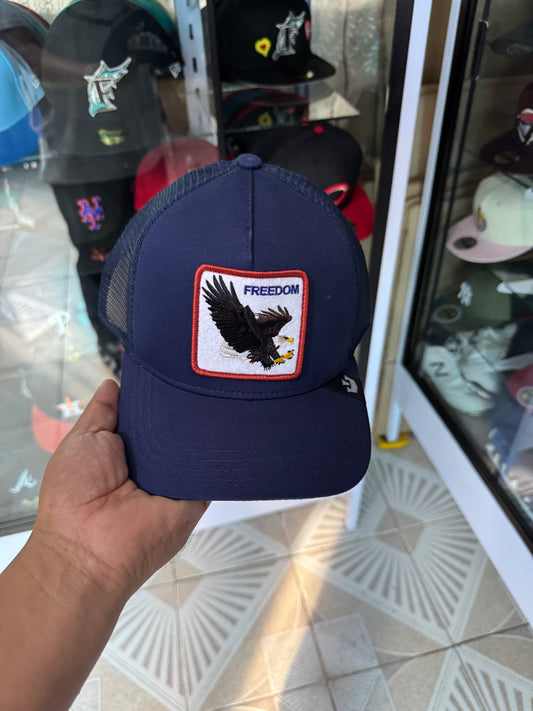 🚨OFERTA CURVA 🔥600$🔥