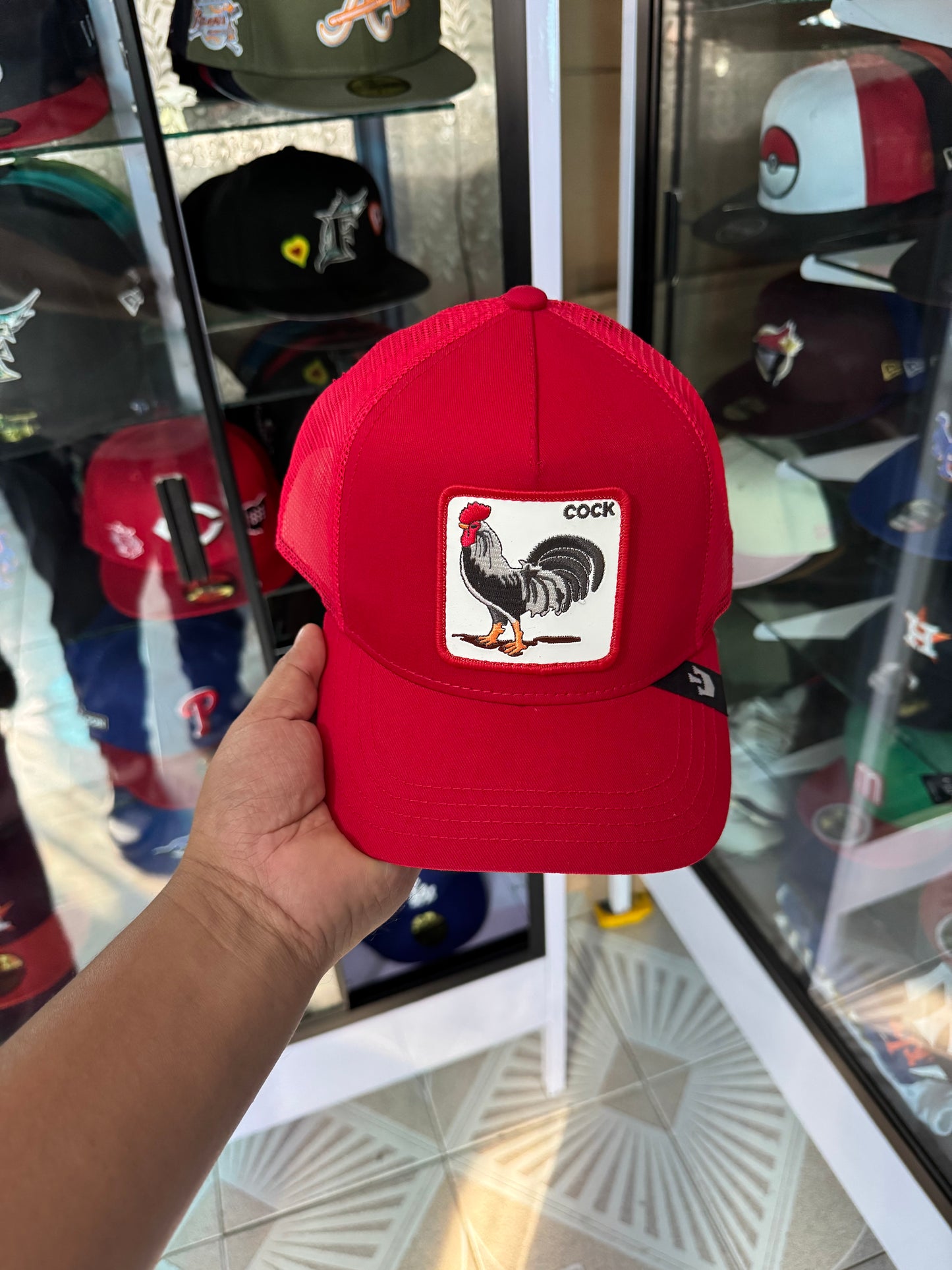 🚨OFERTA CURVA 🔥600$🔥